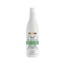 ye scalp energy shampoo 500ml